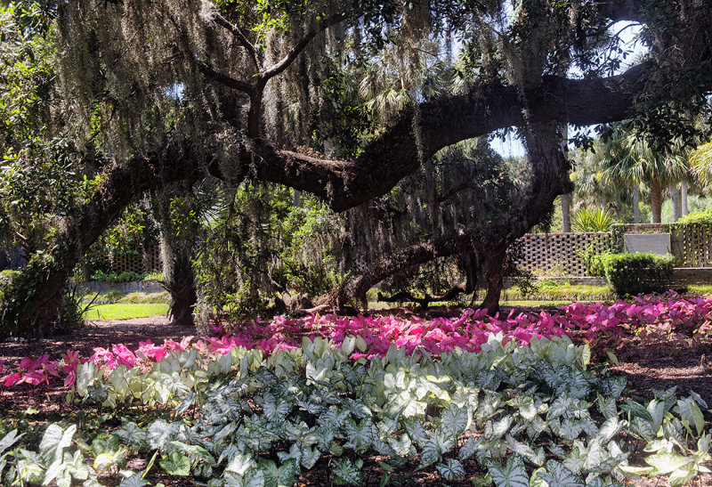 Brookgreen Gardens 