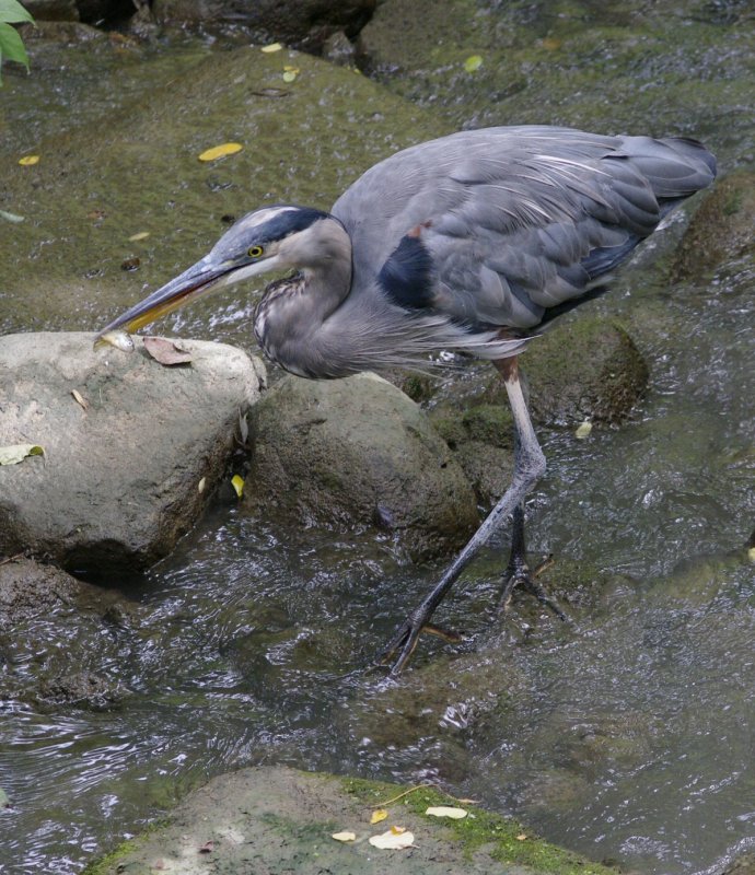 6072Image2.jpg