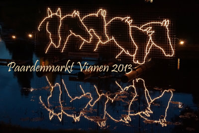 Paardenmarkt Vianen 2013