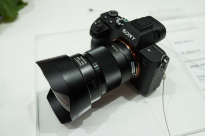 Sony  FE 28mm f/2  & 16 FishEye