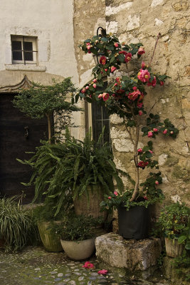 St Paul de Vence - 05.jpg