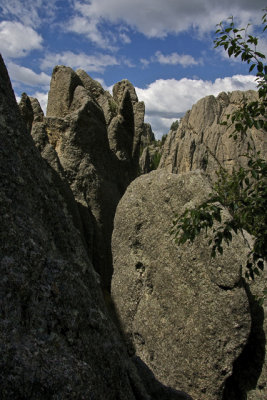 Needles Highway - 04.jpg