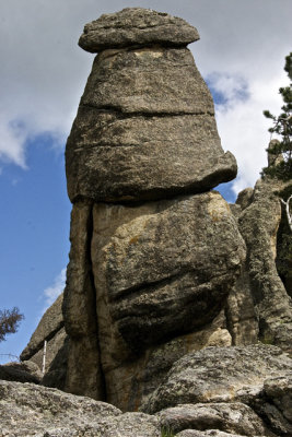 Needles Highway - 09.jpg