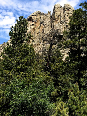 Needles Highway - 12.jpg