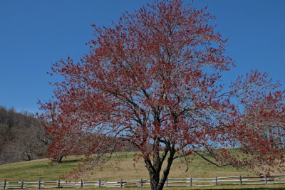 Blue Ridge Parkway - 17.jpg