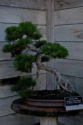 DSCF2474.jpg