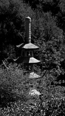 DSCF2440 - Version 2.jpg