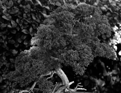 DSCF2458 - Version 2.jpg
