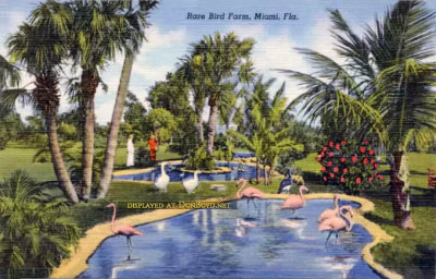 1940s - a postcard featuring the Miami Rare Bird Farm on South Dixie Highway