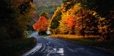 October 2016 - changing leaves in the Vestal, New York area