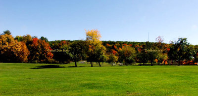 October 2016 - changing leaves at Arnold Park in Vestal, New York