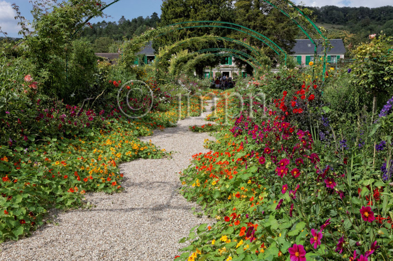 Jardins de Claude Monet, allée centrale