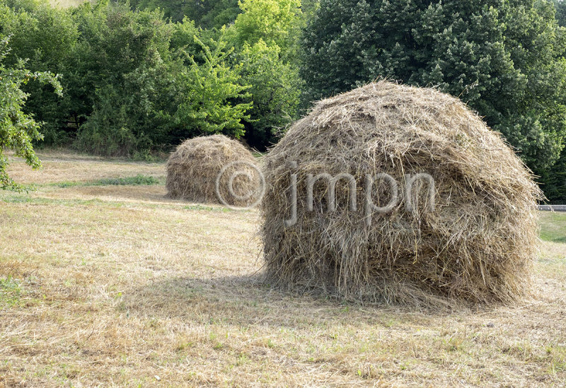 Meule à lancienne - Old fashion hay stacks