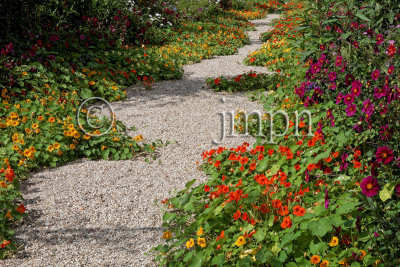 Jardins de Claude Monet, allée centrale
