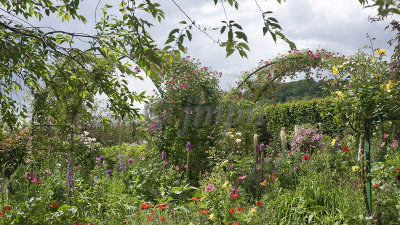 Le Clos Normand (jardins de Claude Monet à Giverny)