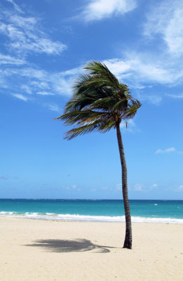 Puerto Rico