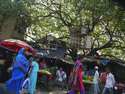 White House, Haravi, Mumbai, India.