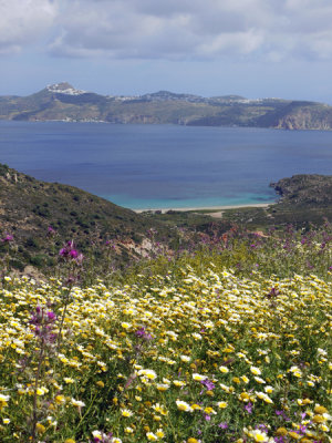 Meadow over Cape Vani.