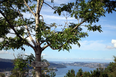 View from Mt. Floyen, Bergen, Norway.