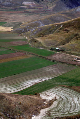 Furrows and Cereal Fields, Casteluccio.
