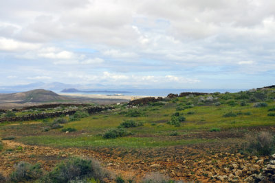 Oliva Walk - Lava Landscape (Lobos Island in the background).
