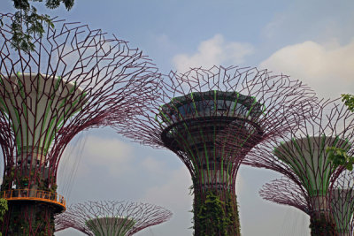 Trees, Gardens by the Bay, Singapore.