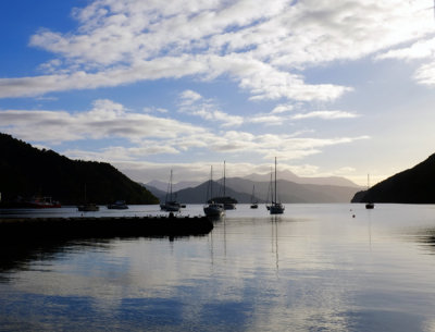 Cook Cove. Picton, Nw Zealand.