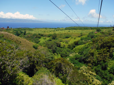 Kapalua Mountain Range and Zip Lines, Maui.