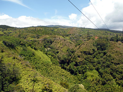 Ziplines in Kapalua, Maui.