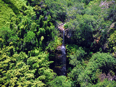 Cascade in Kapalua Mountain Rainforest, Maui.