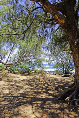 Sunshine and Shadows, Poipu Point, Kauai.