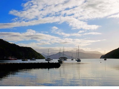 Early Morning - Charlotte Sound, Picton, New Zealand.