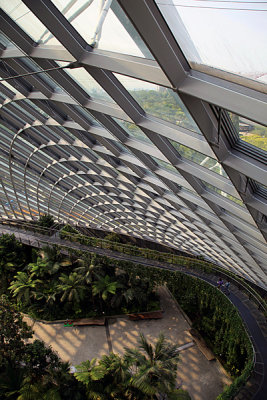 Vertigo - View from the Rainforest, Gardens by the Bay, Singapore.
