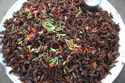 Fried Grasshoppers, anyone? Sihanoukville, Cambodia.