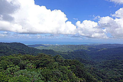 El Yunque Rain Forest - Panorama, Puerto Rico.