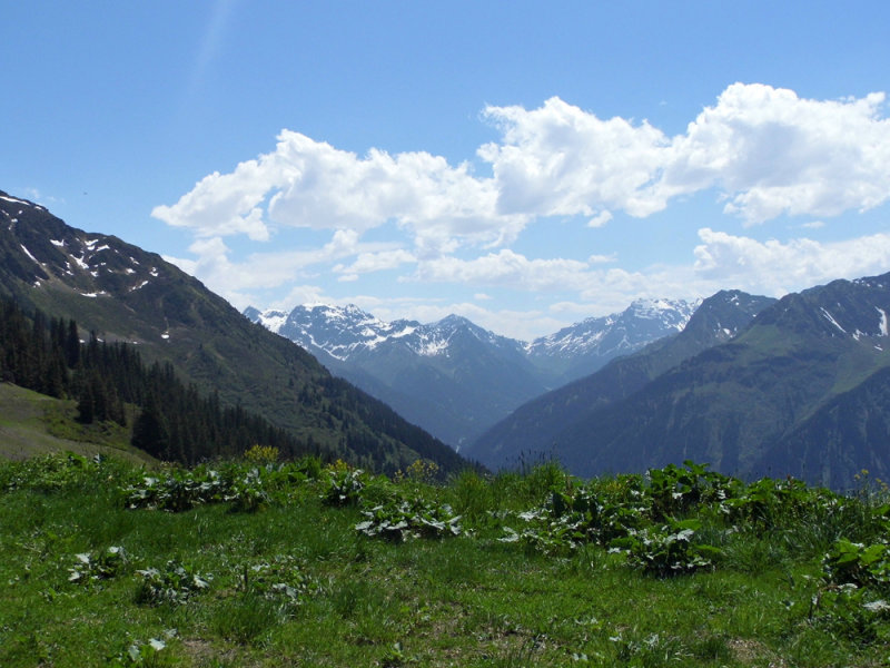 MOUNTAIN LANDSCAPE