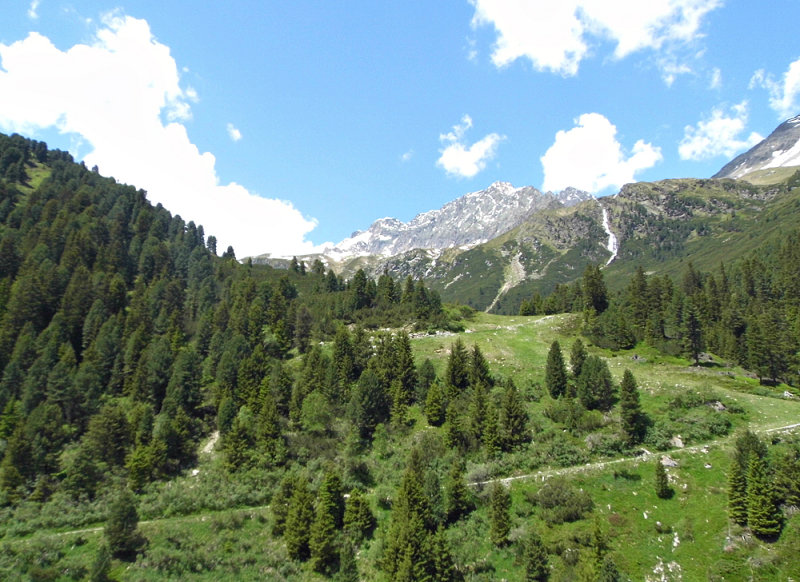 VIEW TOWARDS THE MUTTERBERGER SEESPITZE