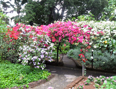 FLORAL PASSAGEWAY