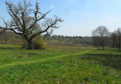 LORD'S PIECE HEATH