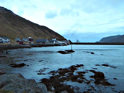 SKARSVAG HARBOUR