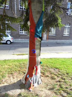 TREE DECORATED BY THE  OOGAPPEL SCHOOL 