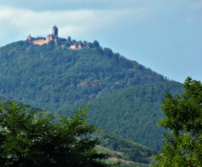 RHINE : BREISACH TO STRASBOURG 2006