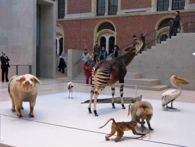 Stuffed Animals Exhibit