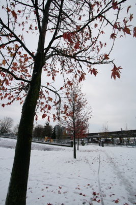 IMG_9837.JPG