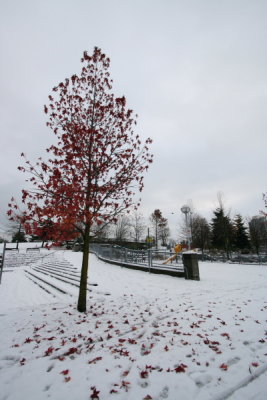 IMG_9842.JPG