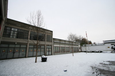 IMG_9873.JPG