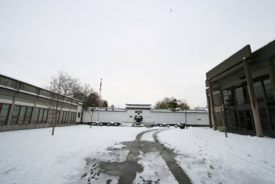 IMG_9874.JPG
