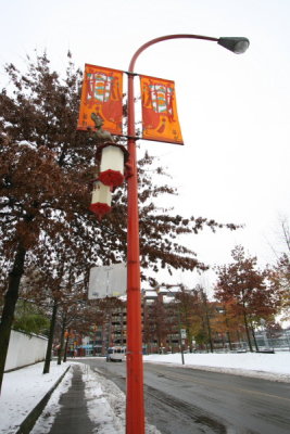 IMG_9891.JPG