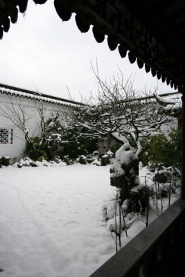 IMG_9951.JPG