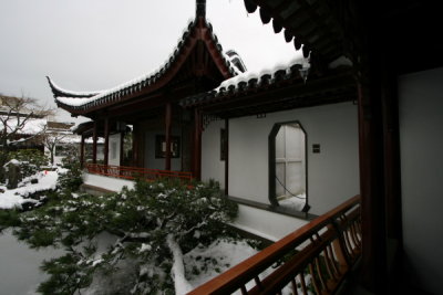 IMG_9960.JPG
